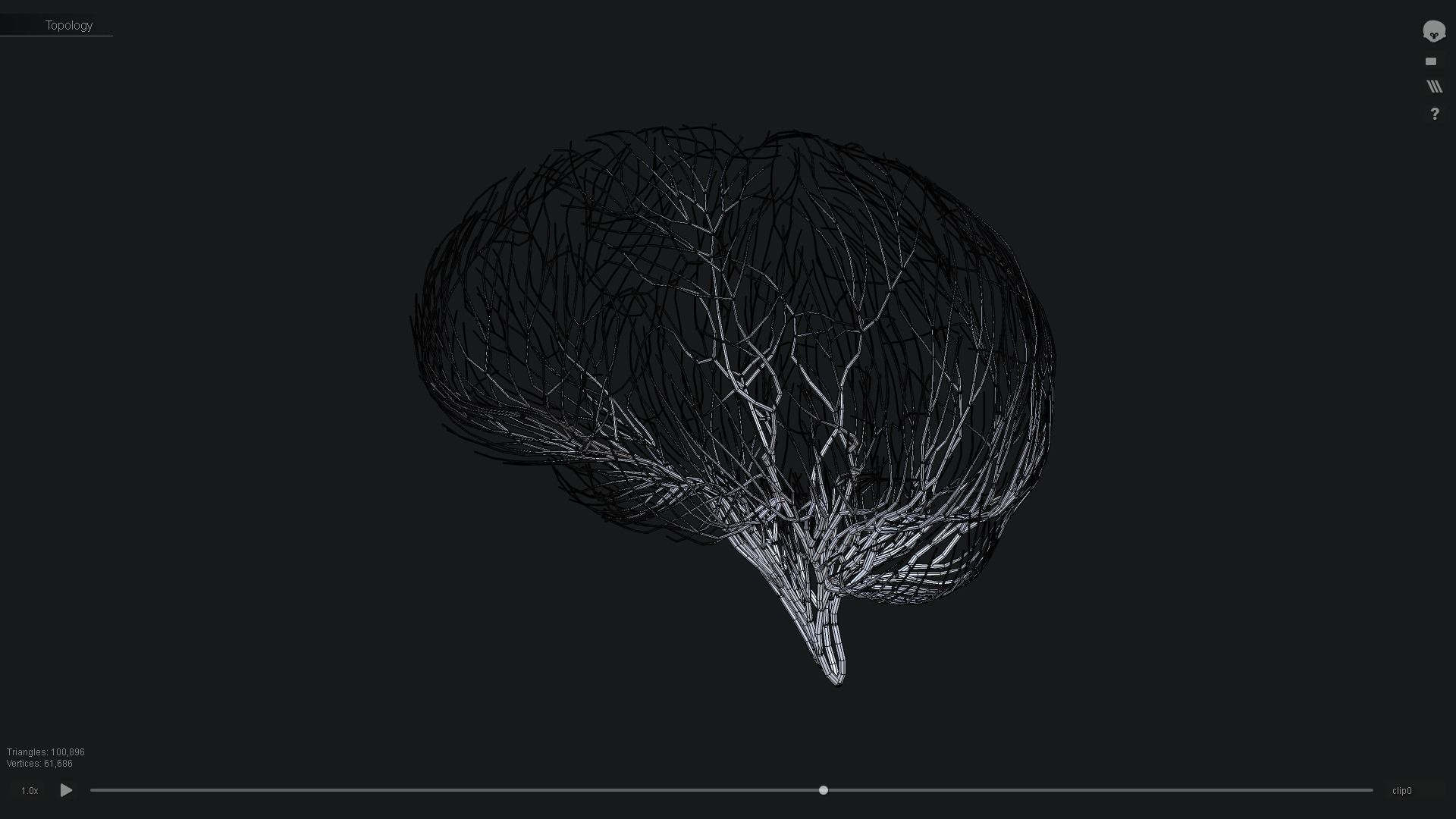 Human brain made out of lines Unrolling growing animation 3D model ...