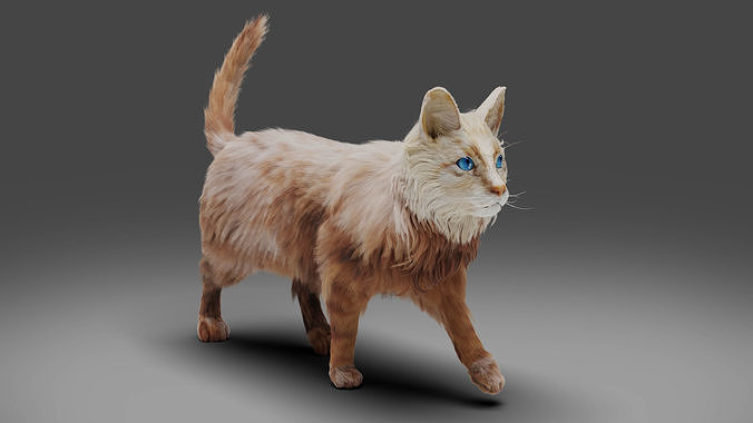 Fur Cat White V2 Rigged and Animated Low-poly 3D model