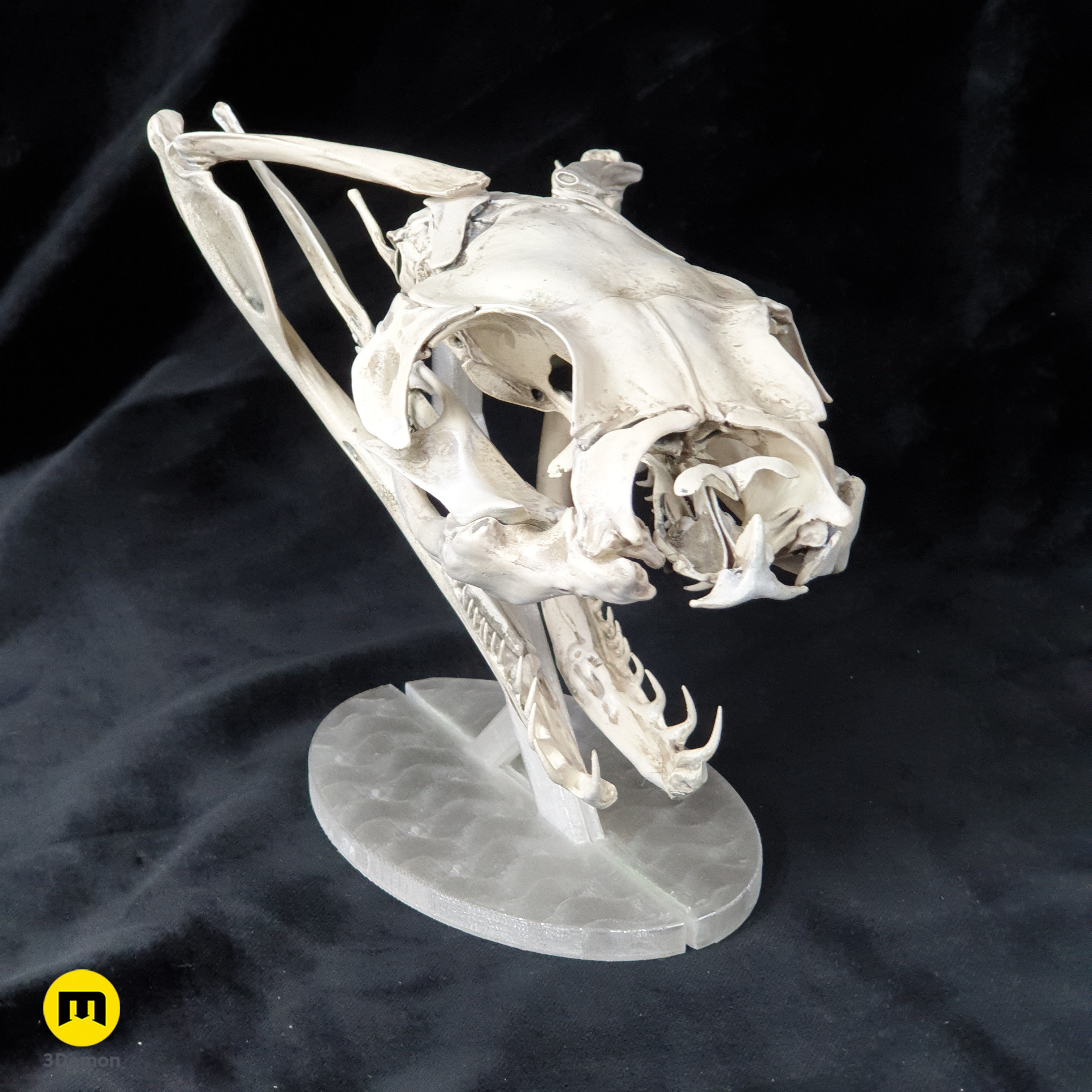Gaboon Viper Snake Skull free 3D model 3D printable | CGTrader