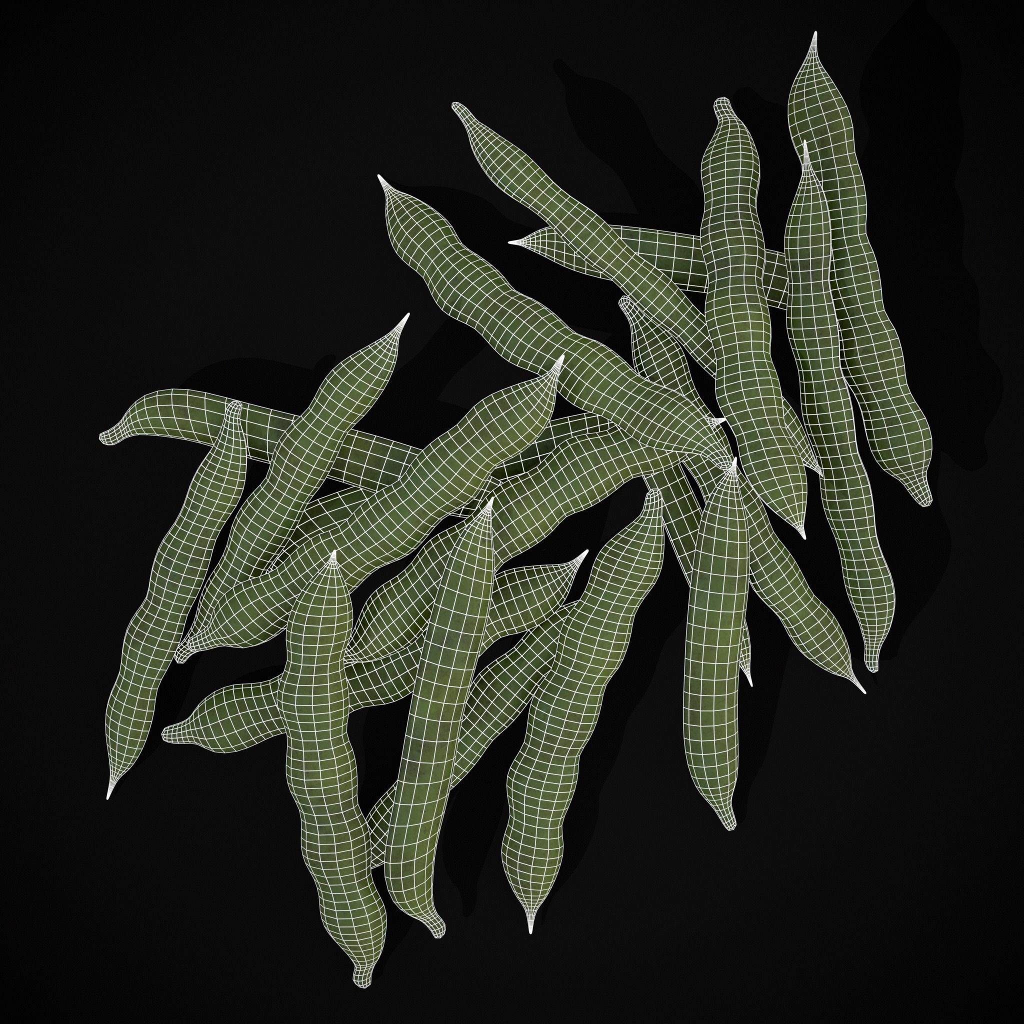 Micro Polybeans 3D model Fava Beans VR / AR / low-poly | CGTrader