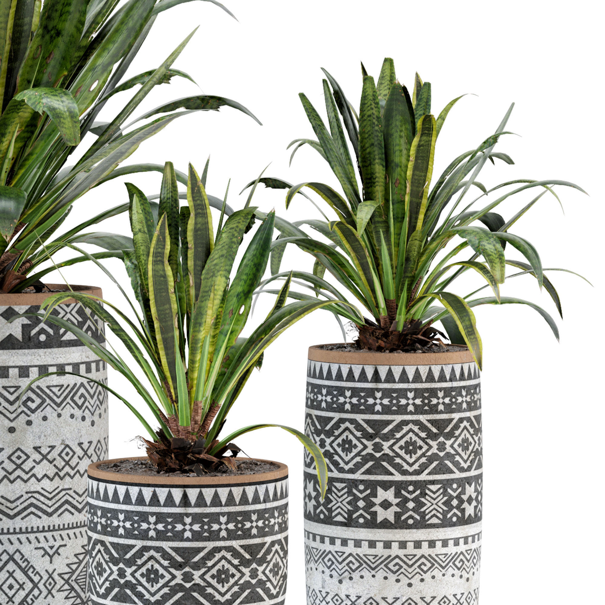 Indoor Plants in Concrete Pots Set 36 3D model CGTrader