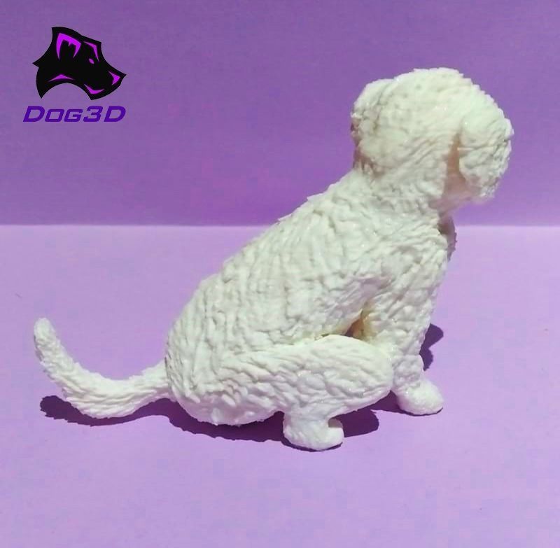 Maltese dog - 3D printable 3D model 3D printable | CGTrader