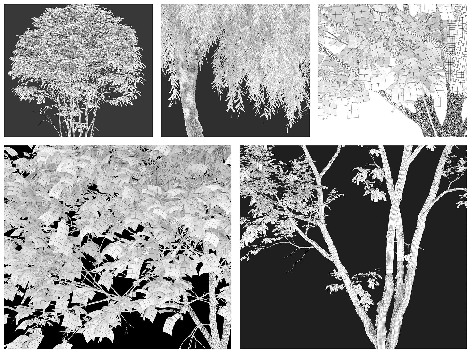 autumn-trees-collection-cgtrader