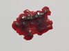 Animated Blood Stain free 3D model animated | CGTrader