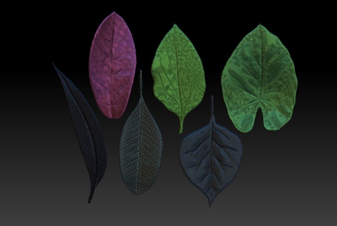 ZB leaf brush 3D printing leaf STL ZBrush leaf brush 3D model 3D ...