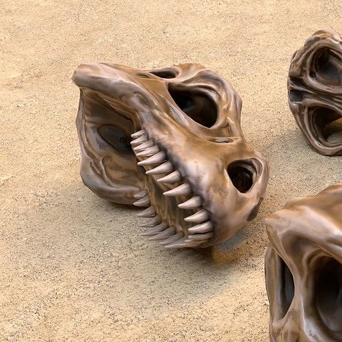 3D model Fossil Bones and Skulls Collection VR / AR / lowpoly CGTrader