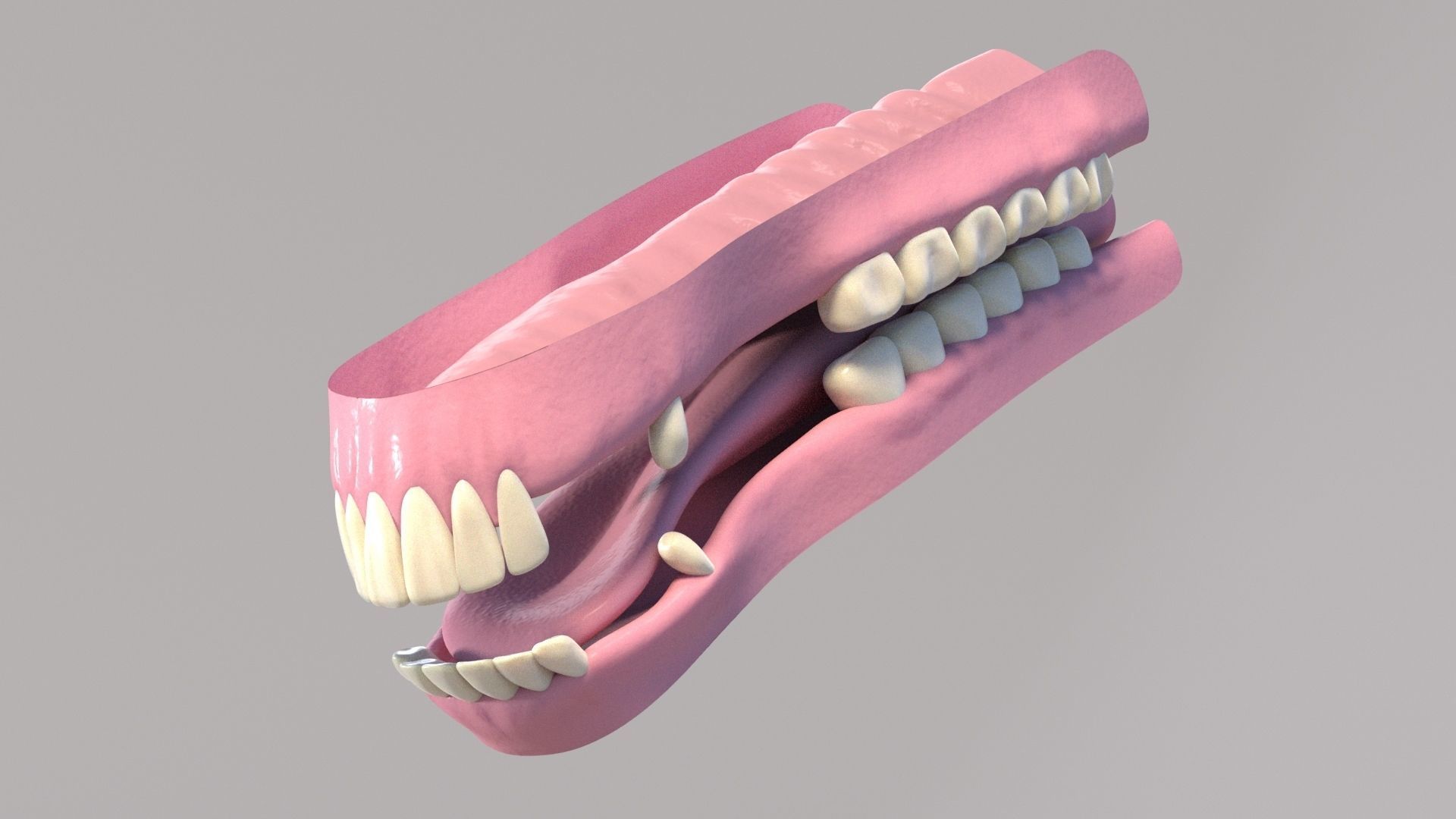 Horse Mouth Basemesh 3D model CGTrader