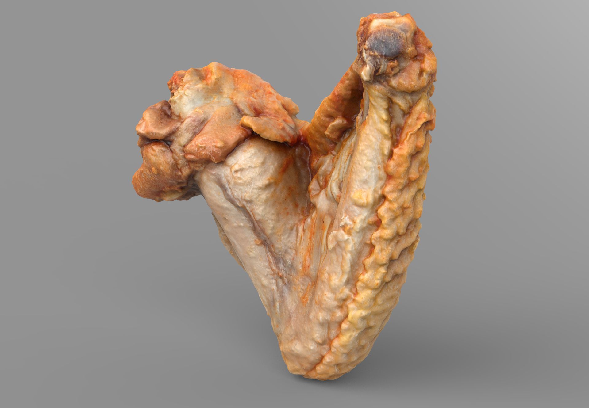 Chicken Wing Reference 3D model Chicken wing VR / AR / low-poly | CGTrader