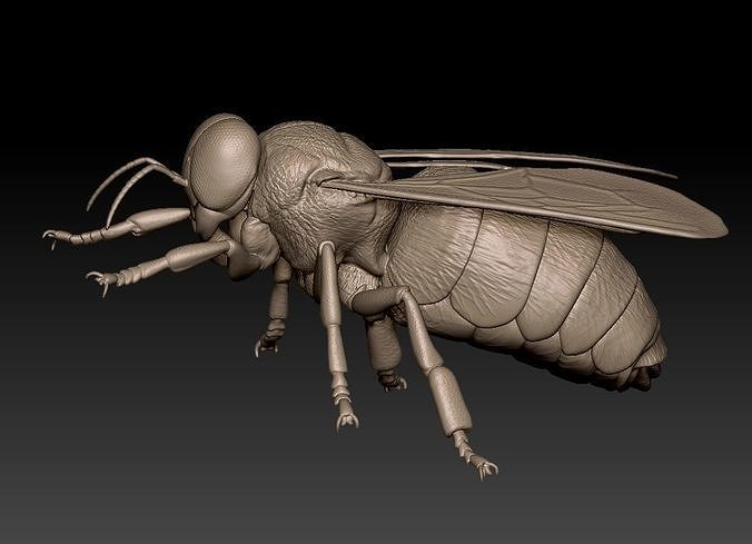 Drone bee 3D model 3D printable | CGTrader