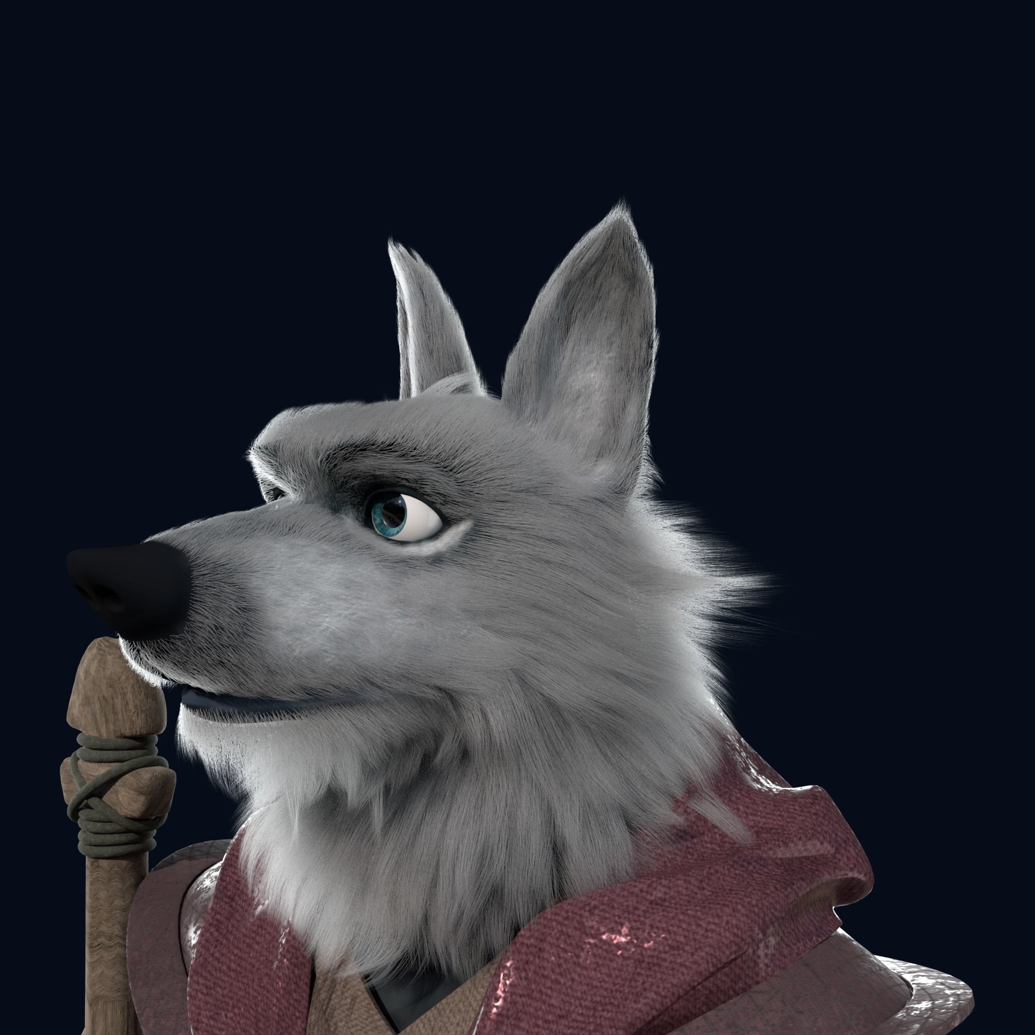Cartoon Old Wolf NoRig 3D model | CGTrader