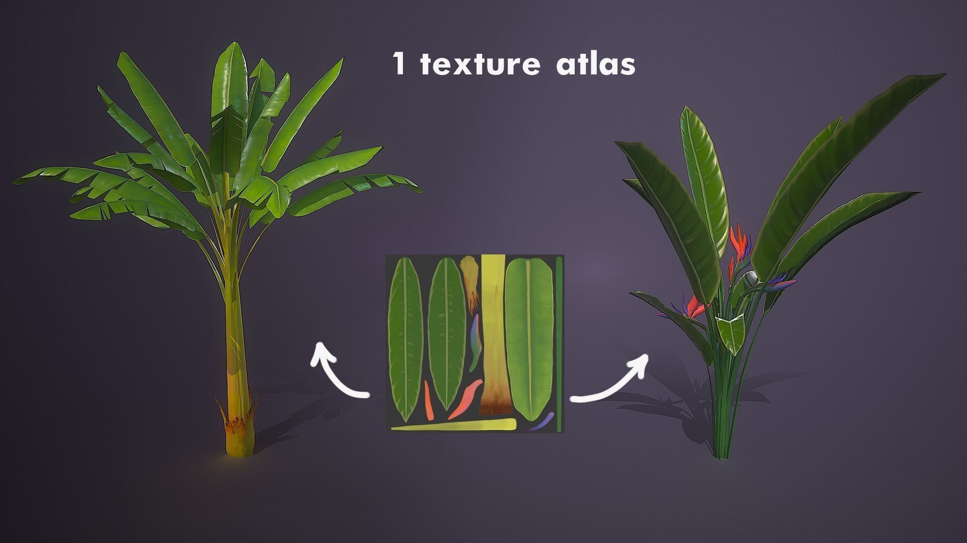 3D model Banana and Strelitzia Plants VR / AR / lowpoly CGTrader