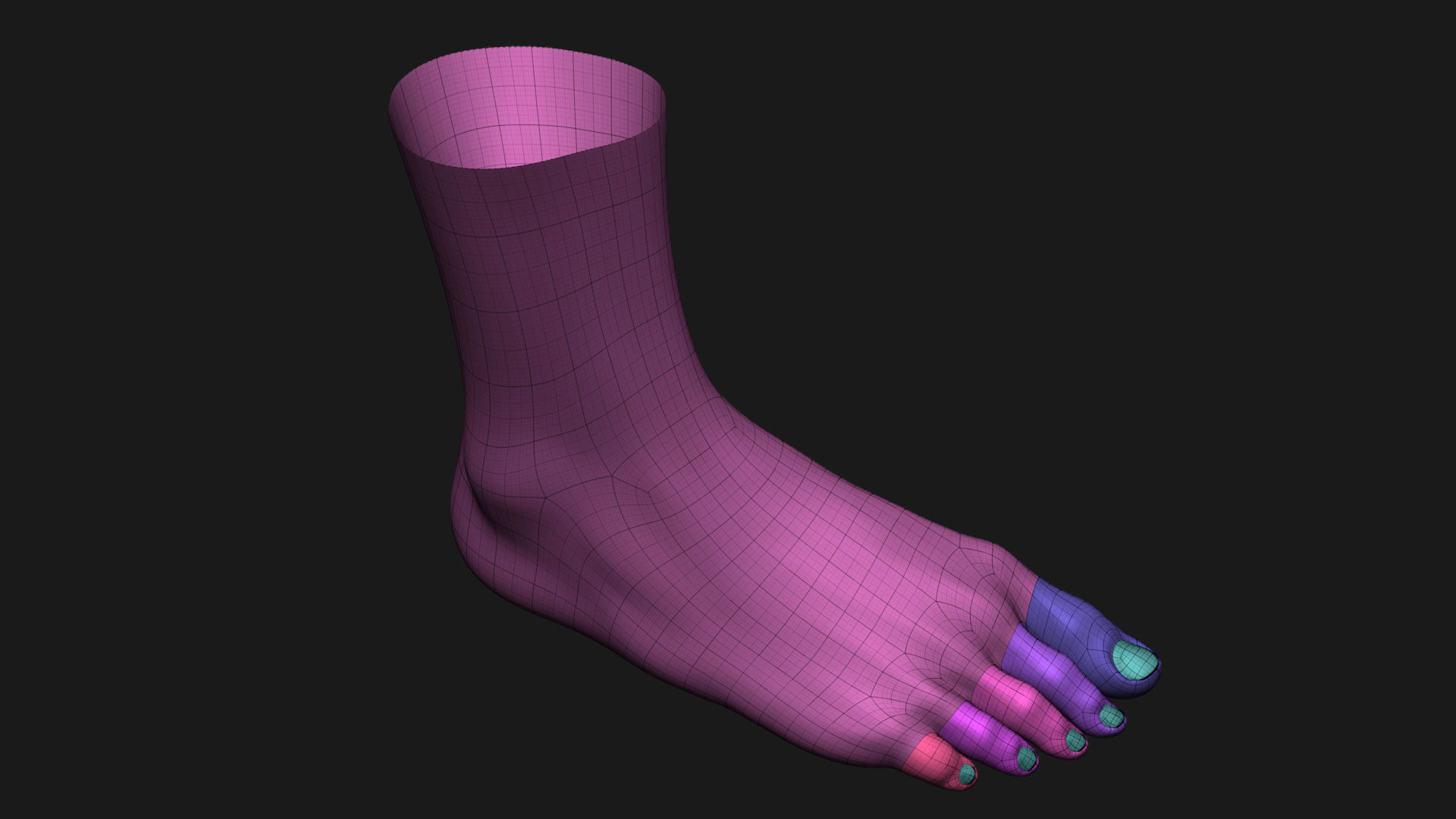 Realistic Human Foot 3D model | CGTrader