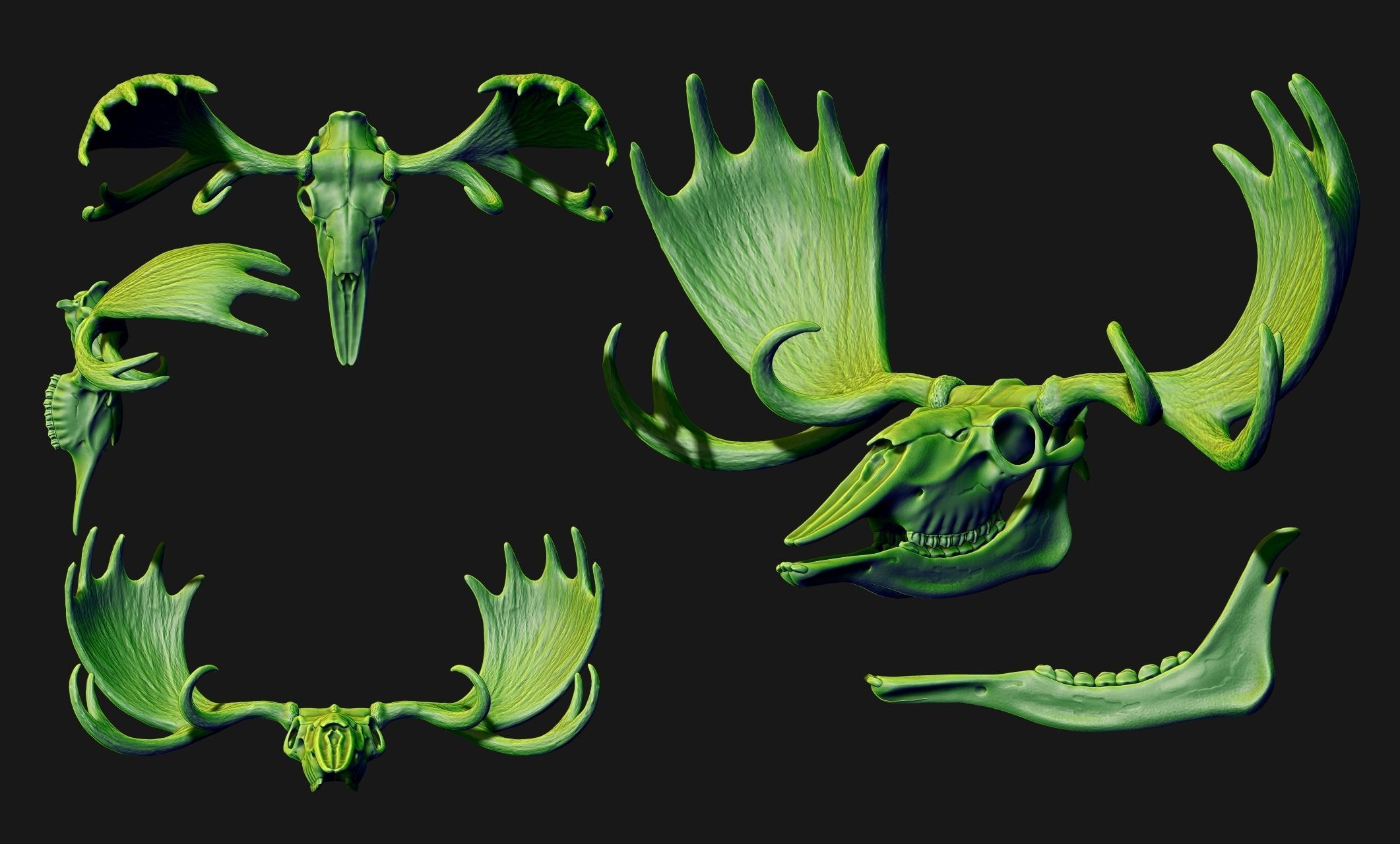 American Alce skull 3D model 3D printable | CGTrader