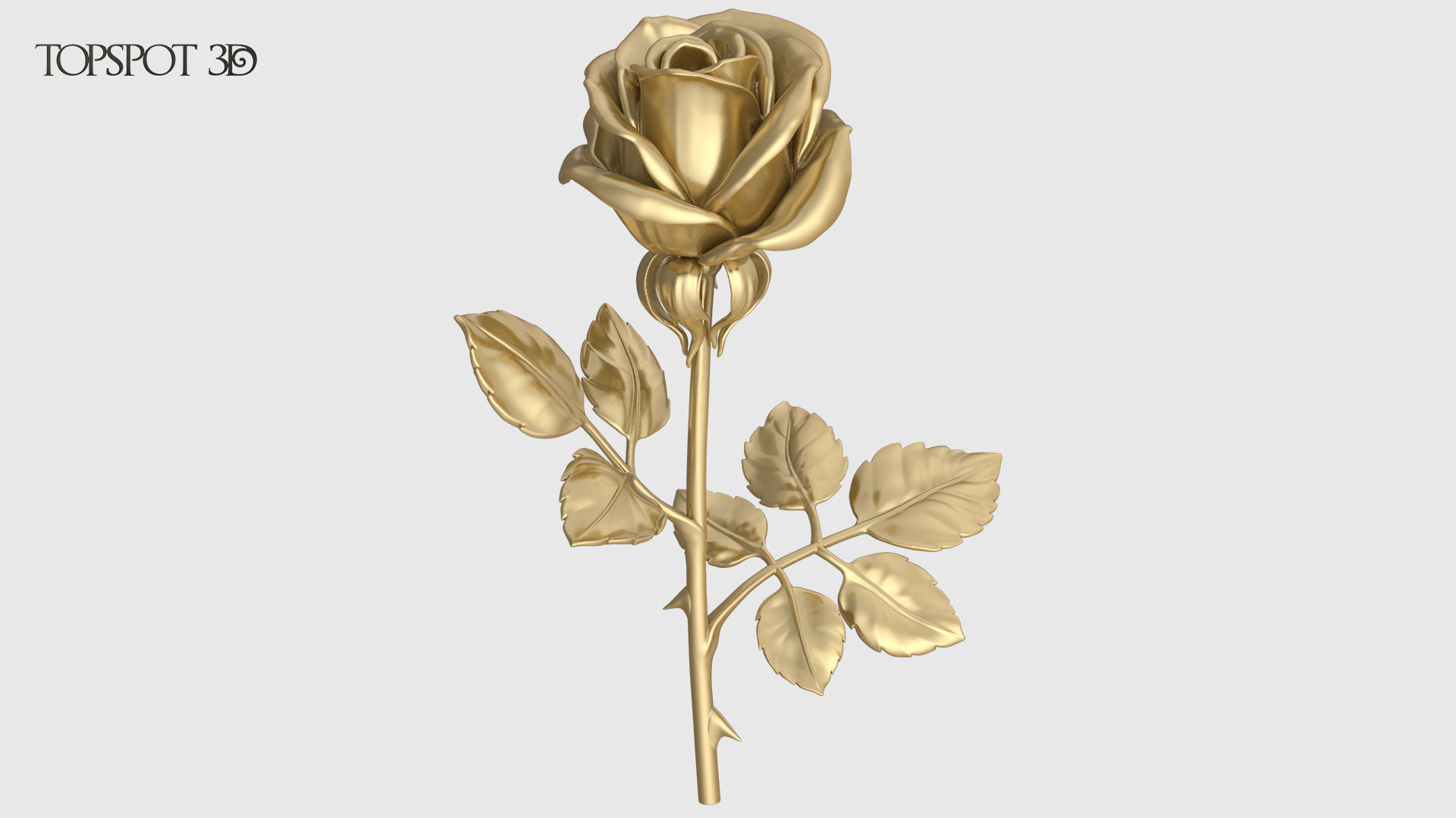 Rose Flowers Pack 3D model 3D printable | CGTrader