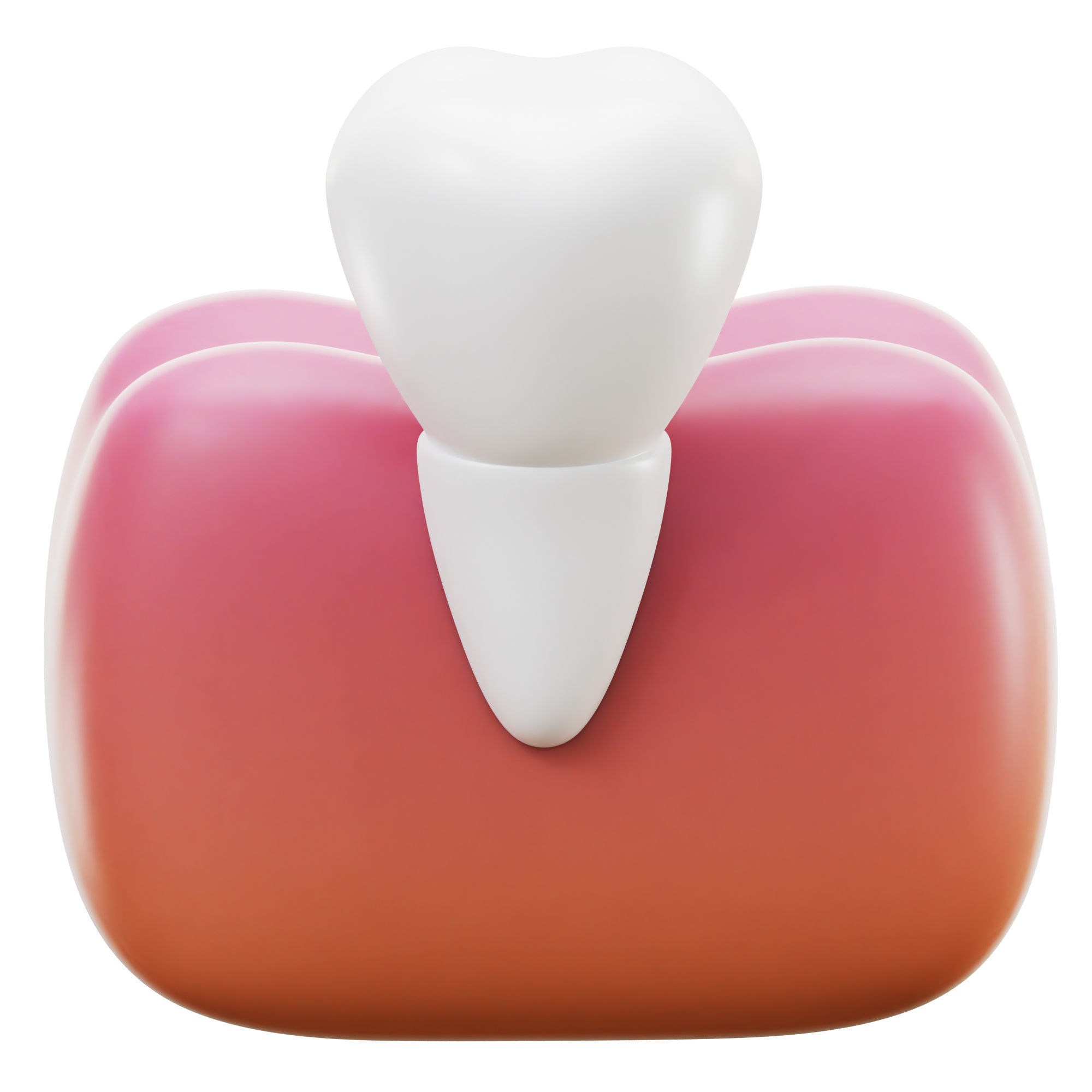 3D model Incisor Tooth 3D Icon VR / AR / low-poly | CGTrader