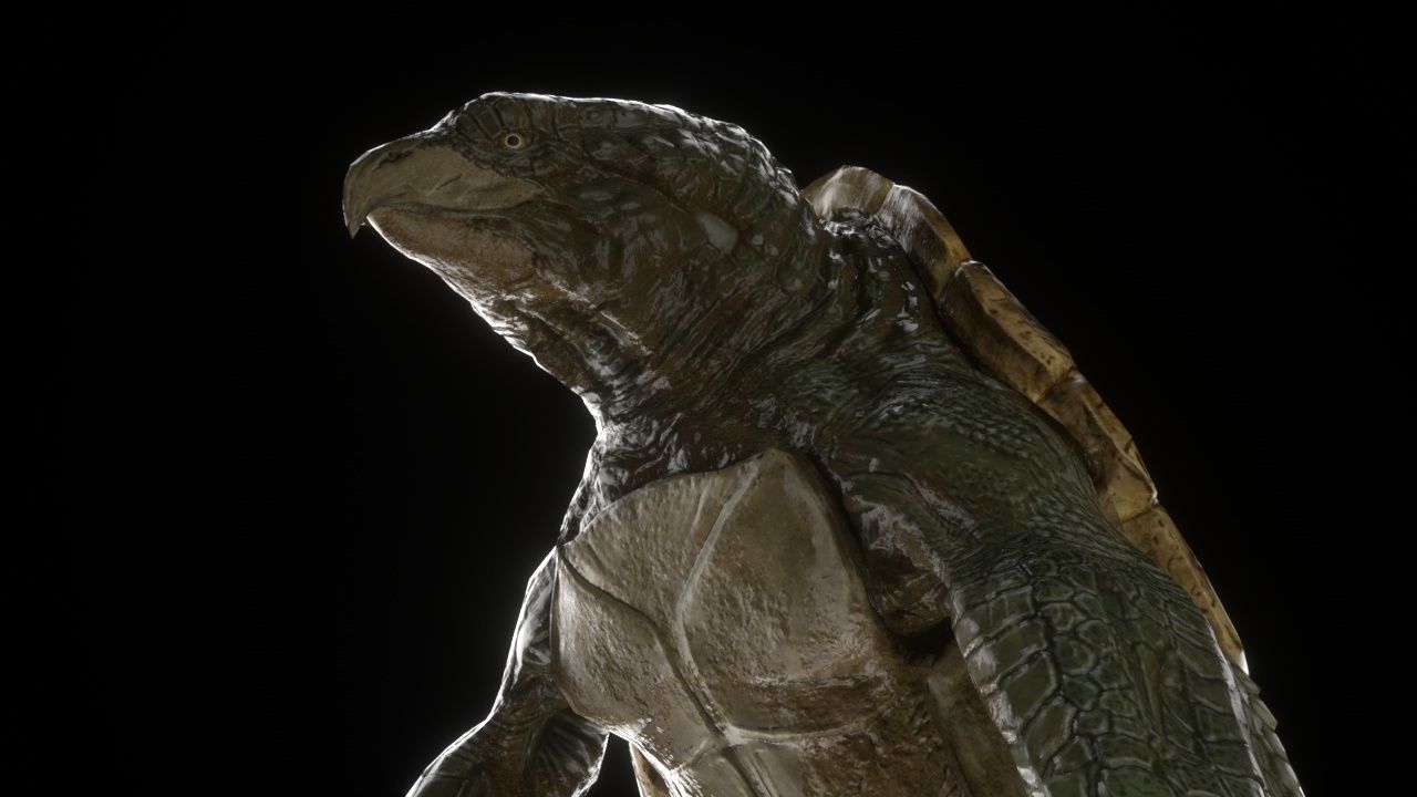 Turtle monster free 3D model | CGTrader