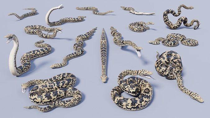 3D model Scrub Python - Static Poses VR / AR / low-poly | CGTrader