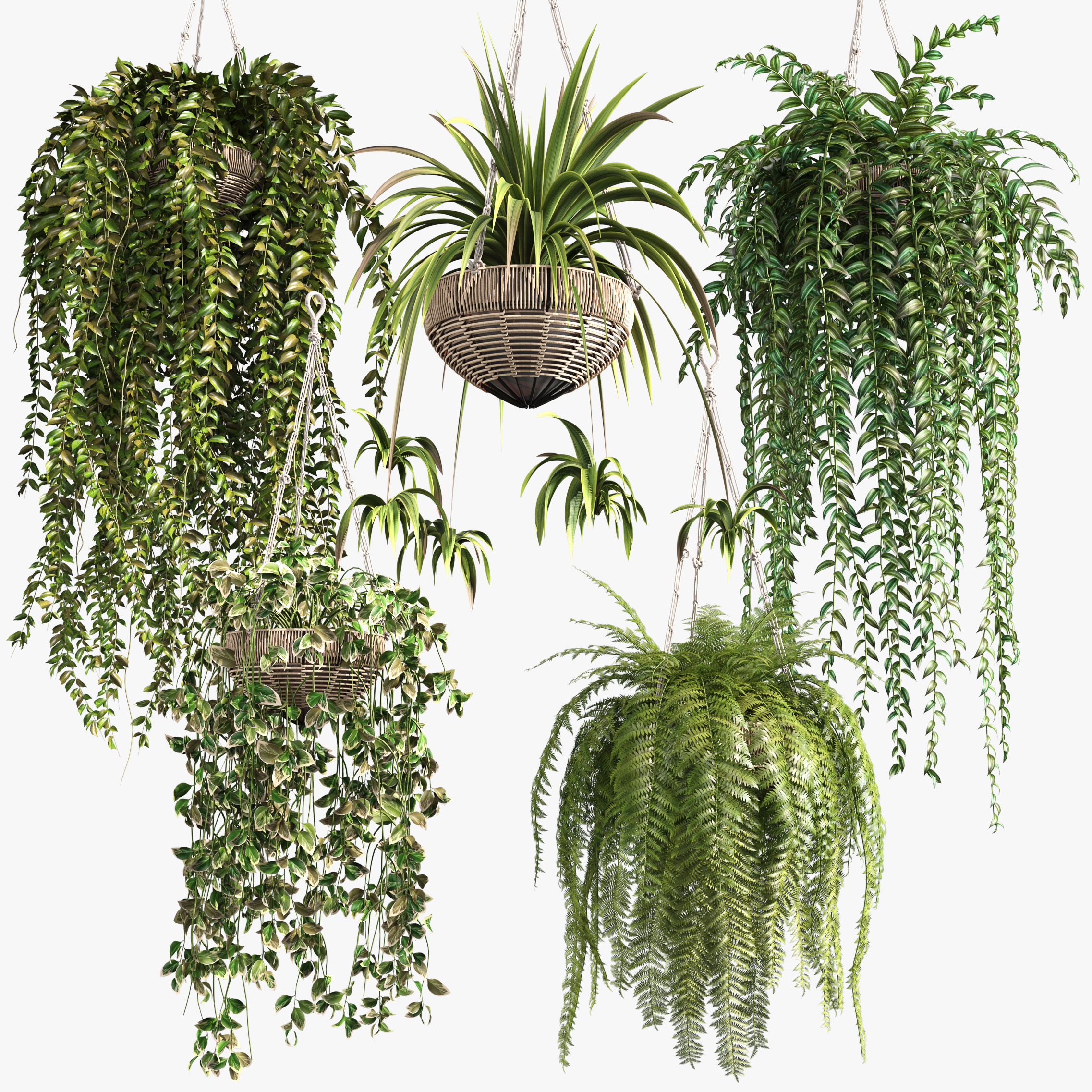 Rattan Plants Hangers 3D model CGTrader