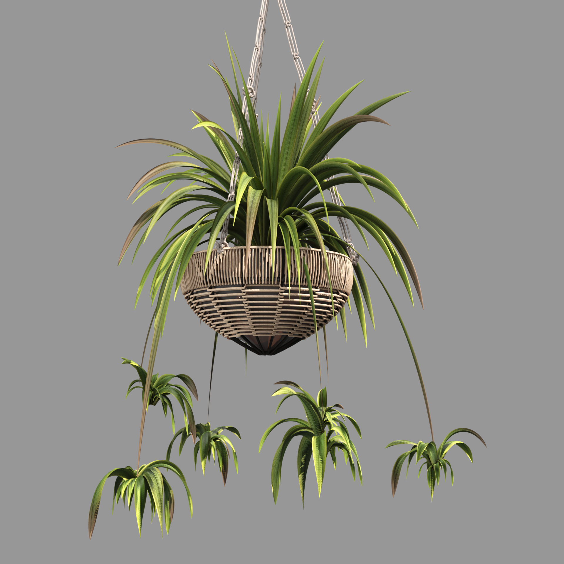 Rattan Plants Hangers 3D model CGTrader