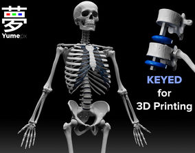 Free Skeleton 3D Printing Models | CGTrader