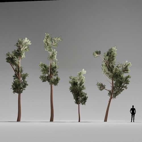 3D model Pine Tree VR / AR / low-poly | CGTrader