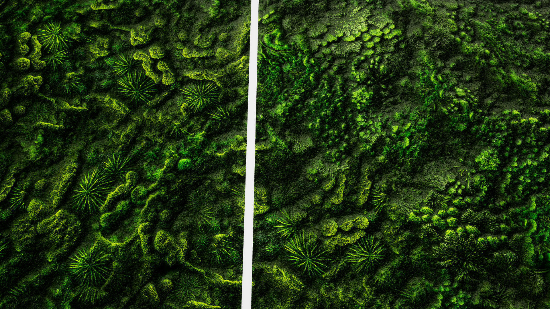 Green Wall Seamless PBR Textures Texture | CGTrader