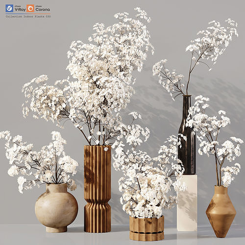 collection-indoor-plants-030-3d-model-21