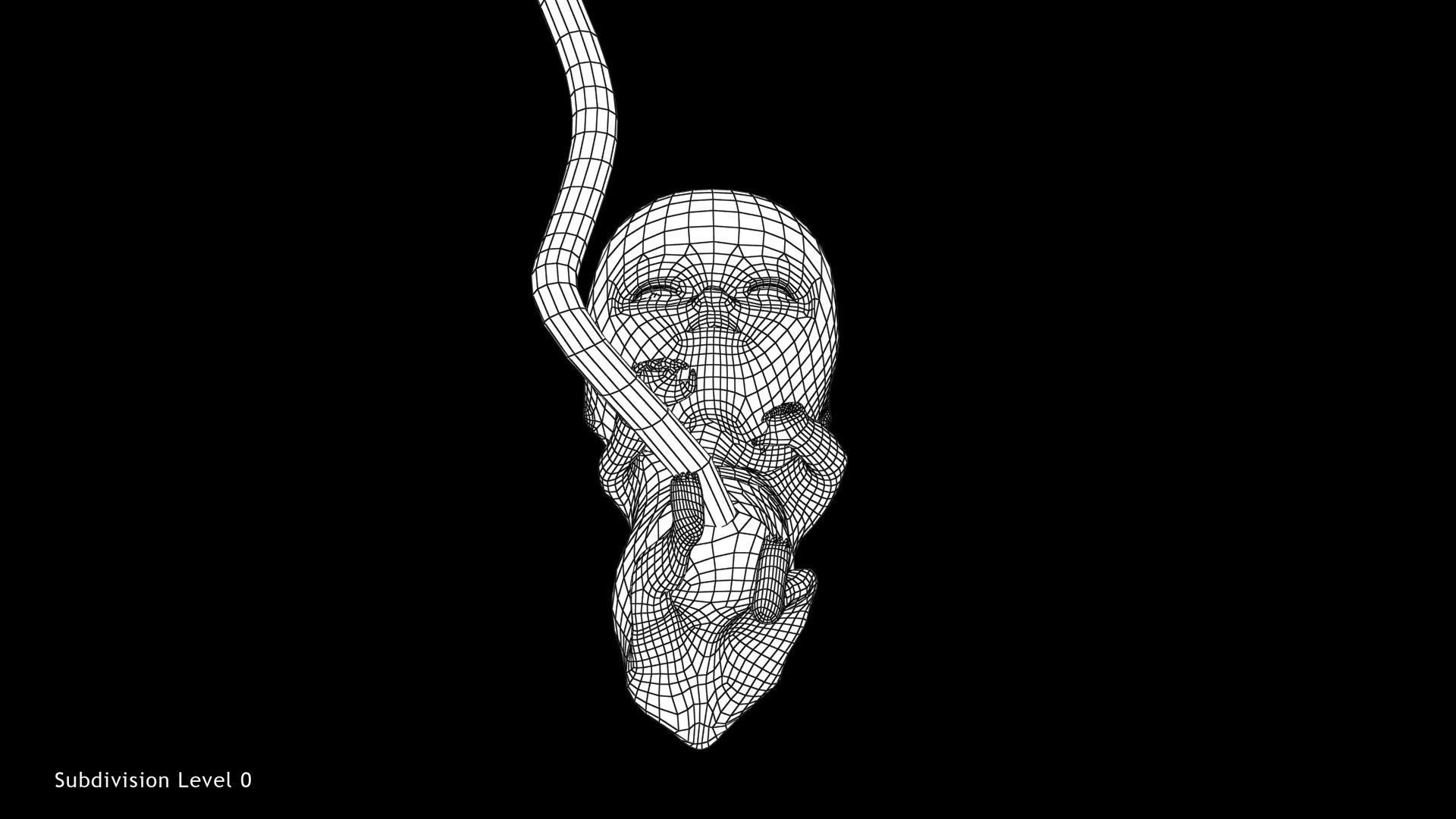 3D model 18 Weeks Human Fetus VR / AR / low-poly | CGTrader