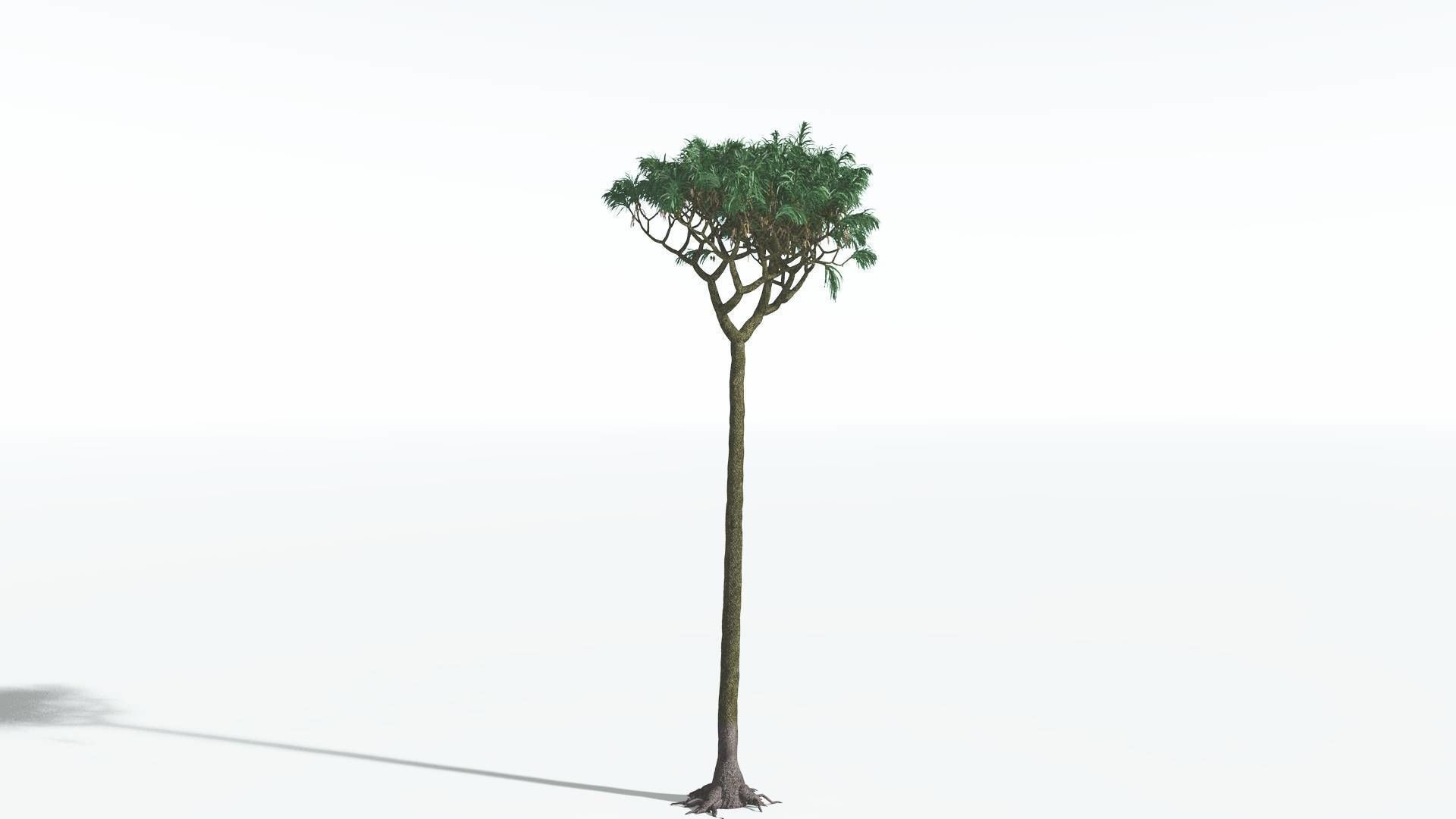EVERYPlant Lepidodendron Scale Tree 3 14 Models 3D model CGTrader