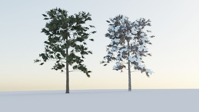 Tree normal snowy 3D model | CGTrader