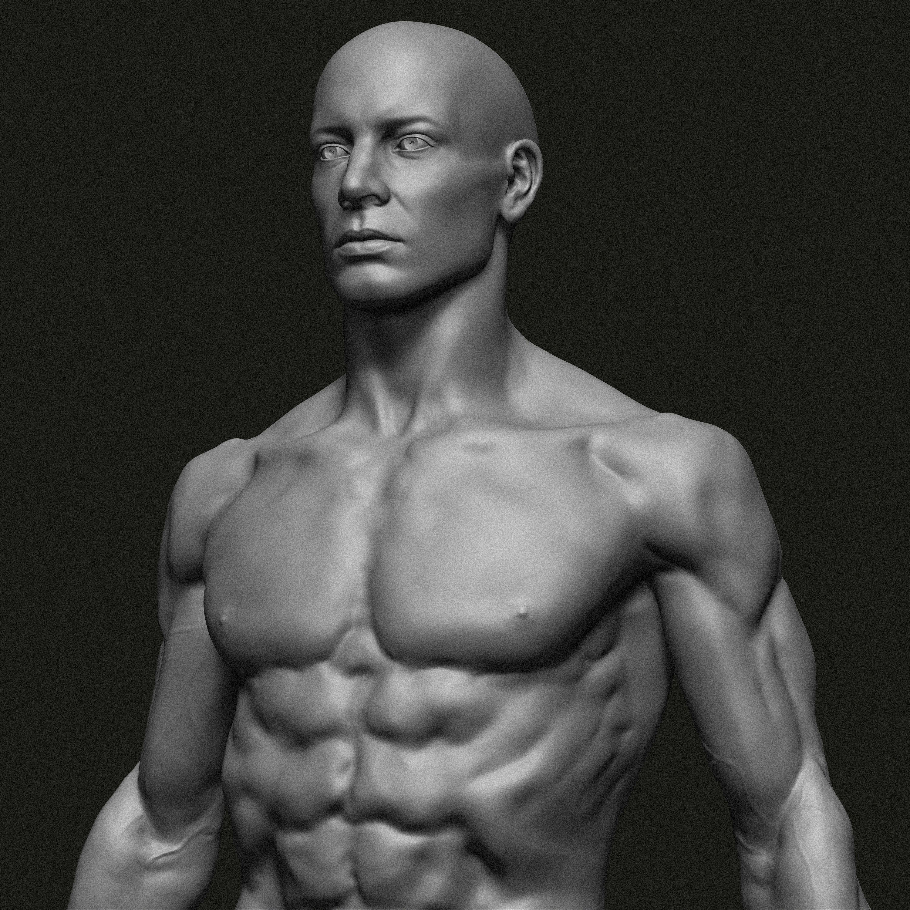 Male anatomy study 3D model 3D printable CGTrader