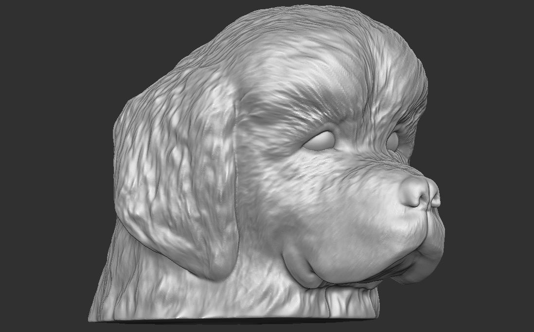 Puppy of Tibetan Mastiff dog head for 3D printing 3D model 3D printable ...