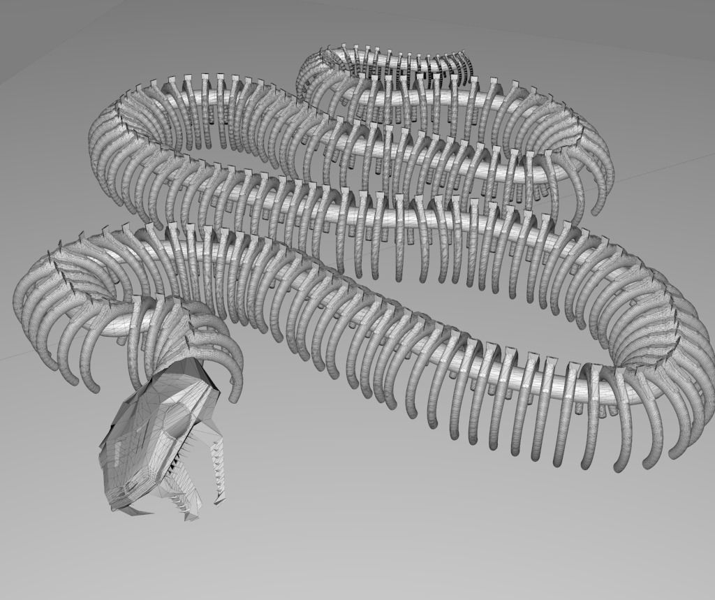 3D model Giant Snake Skeleton VR / AR / lowpoly CGTrader