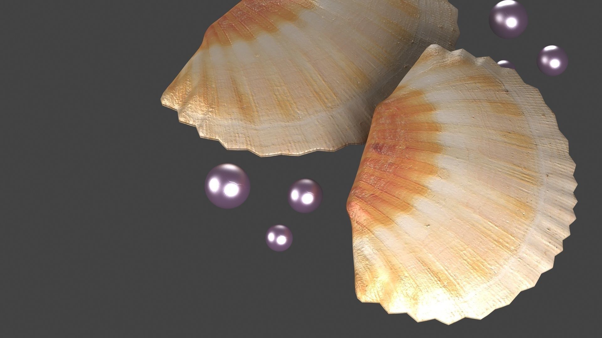 pearl in shell ocean oyster clamshell architecture sealife sea 3D model ...