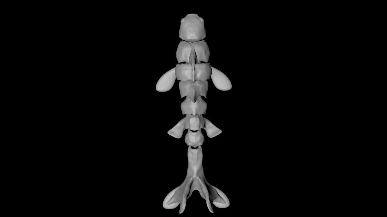 Articulated Koi Fish 3D model 3D printable CGTrader