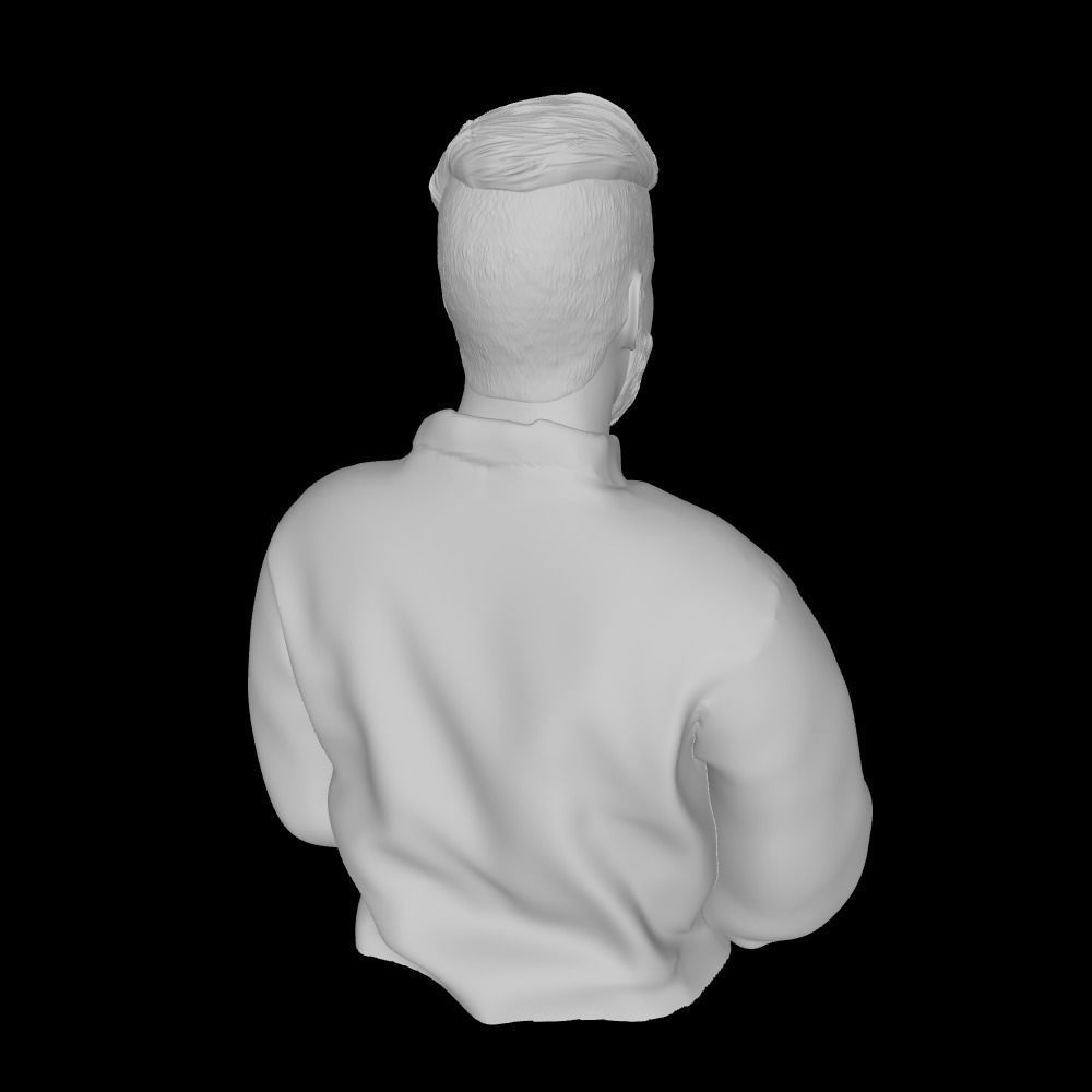 SINGLE MAN BUST MAN IN BEARD HANDSOME MAN BEARD MAN 3D model 3D