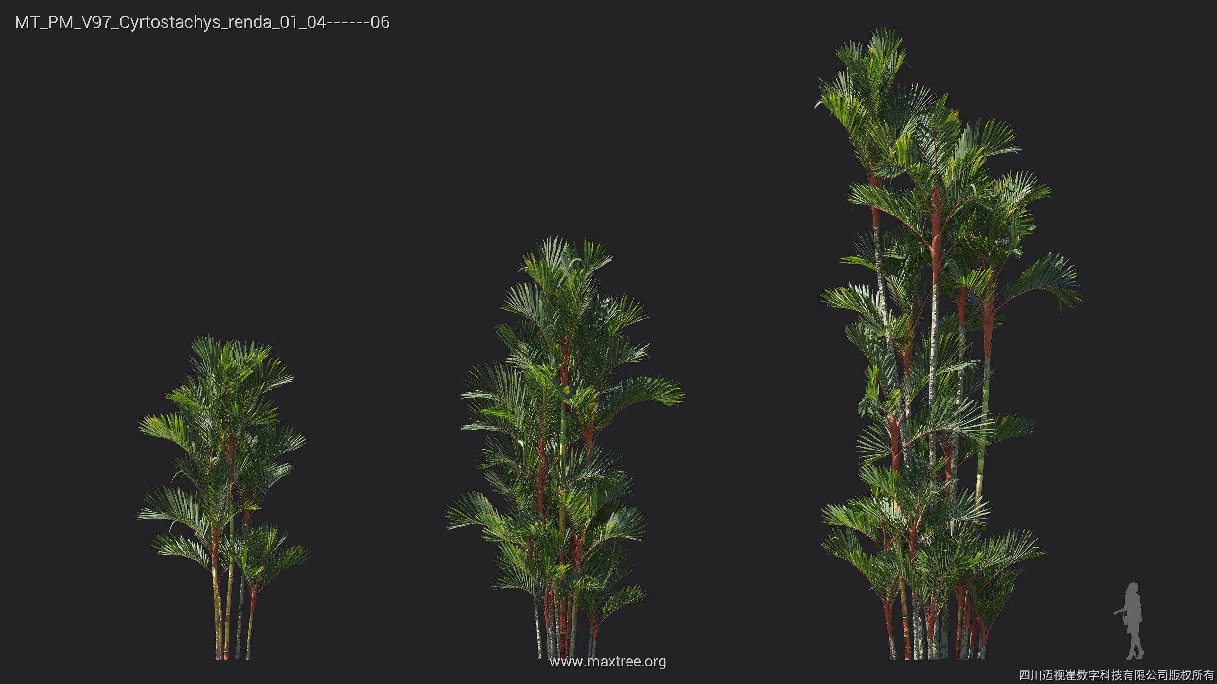 Maxtree Plant Models Vol 97 Mesh 3D model CGTrader