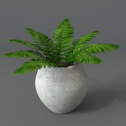Gallery image with a fresh perspective