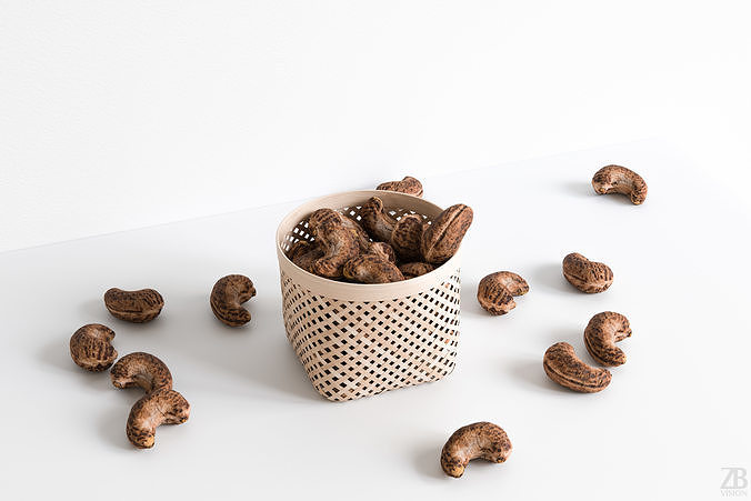 Cashew 005 3D model