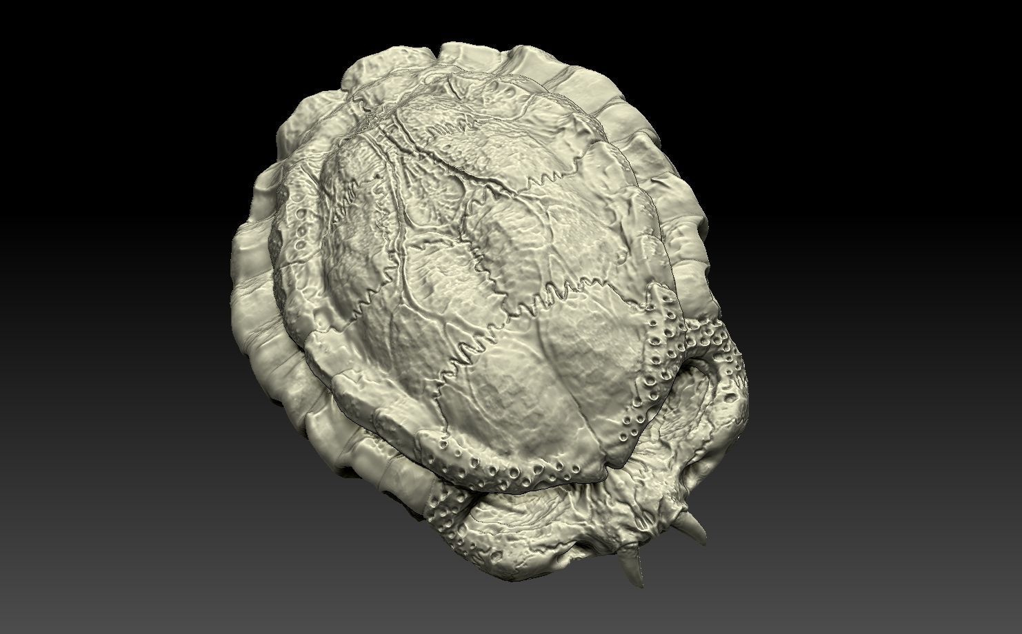 predator skull yautja prey 3D model 3D printable CGTrader