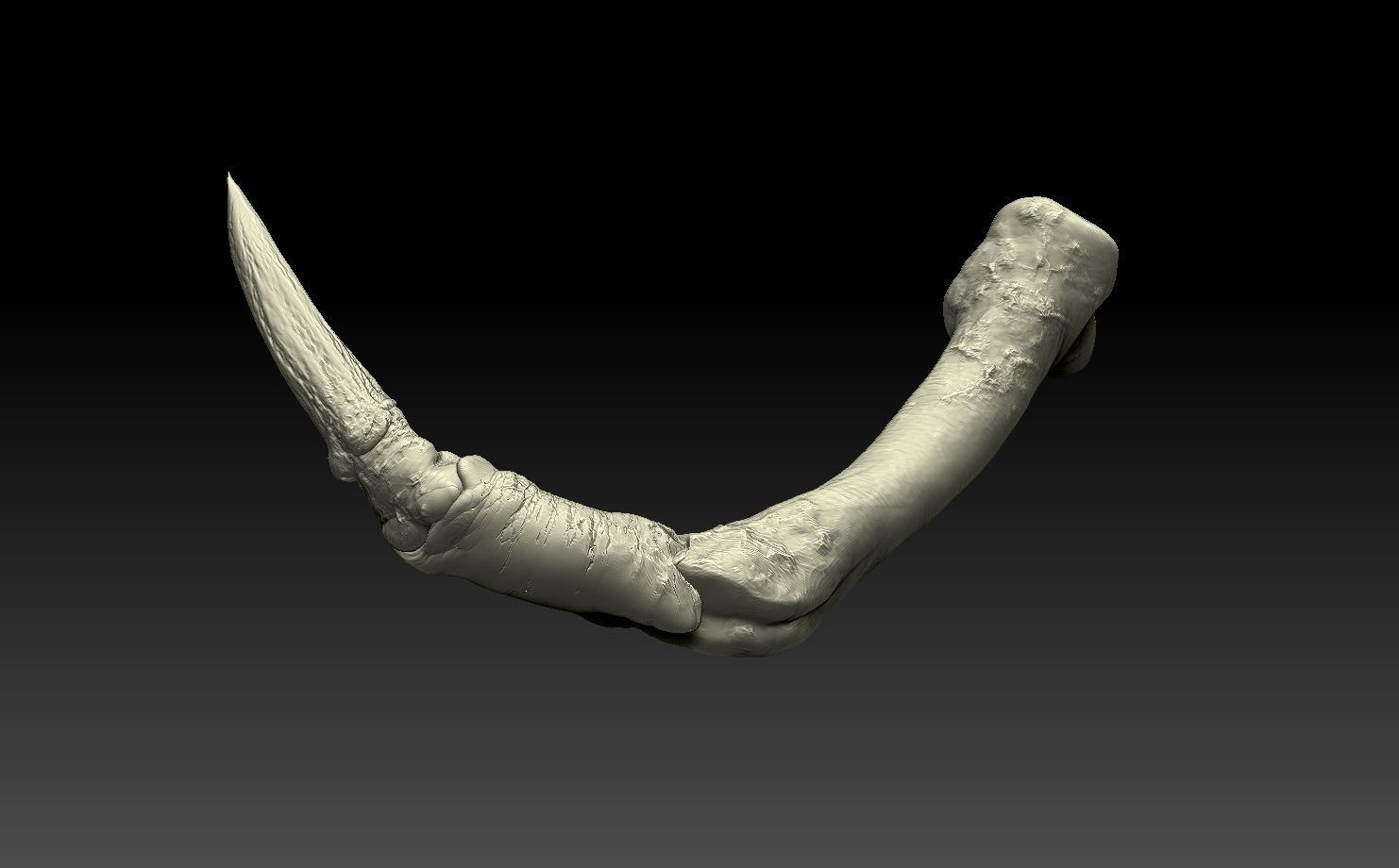 predator skull yautja prey 3D model 3D printable CGTrader
