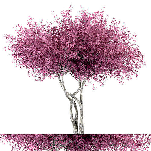 3D model Japanese Pink Tree VR / AR / low-poly | CGTrader