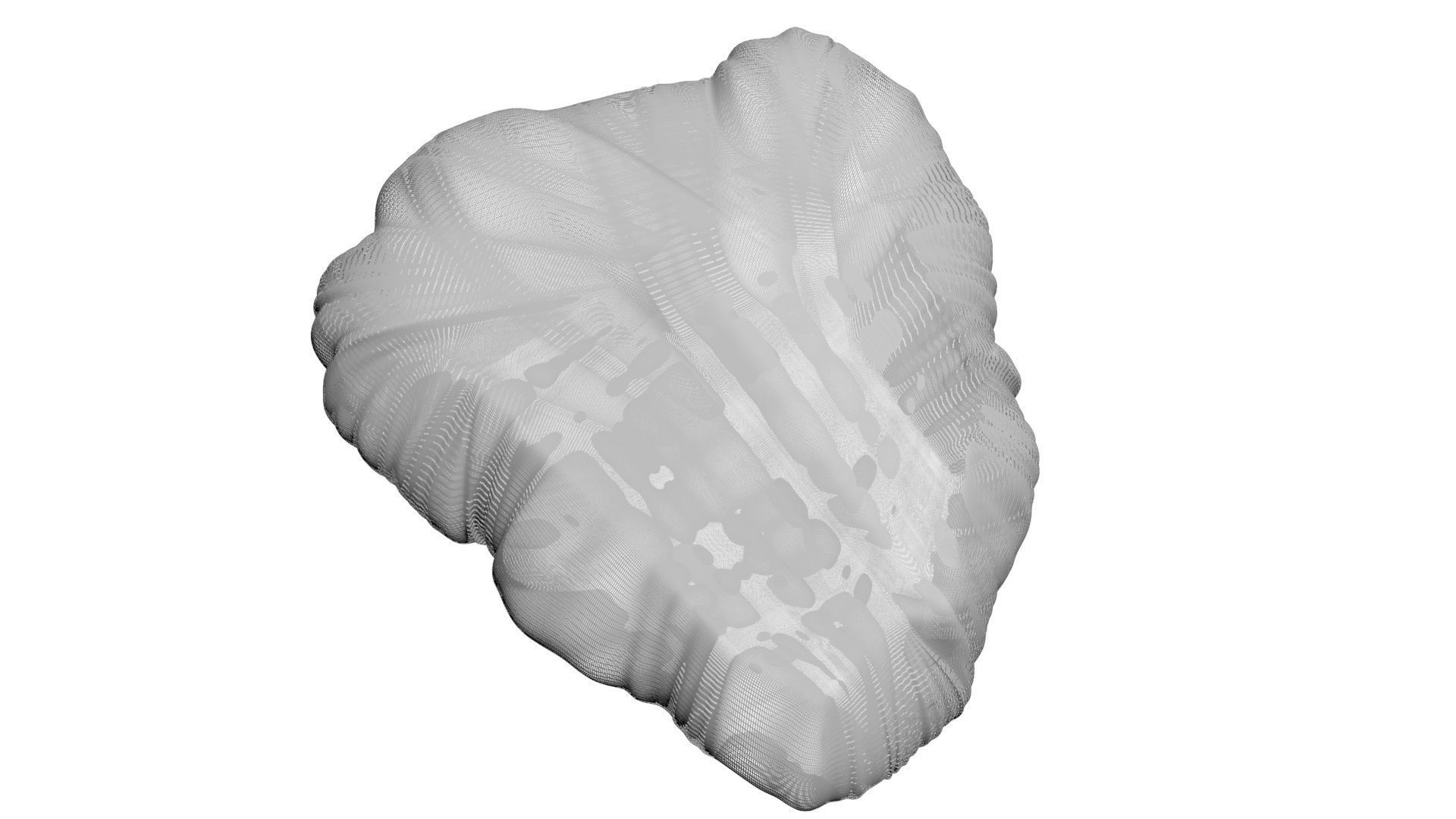 Beef Heart 3D model CGTrader