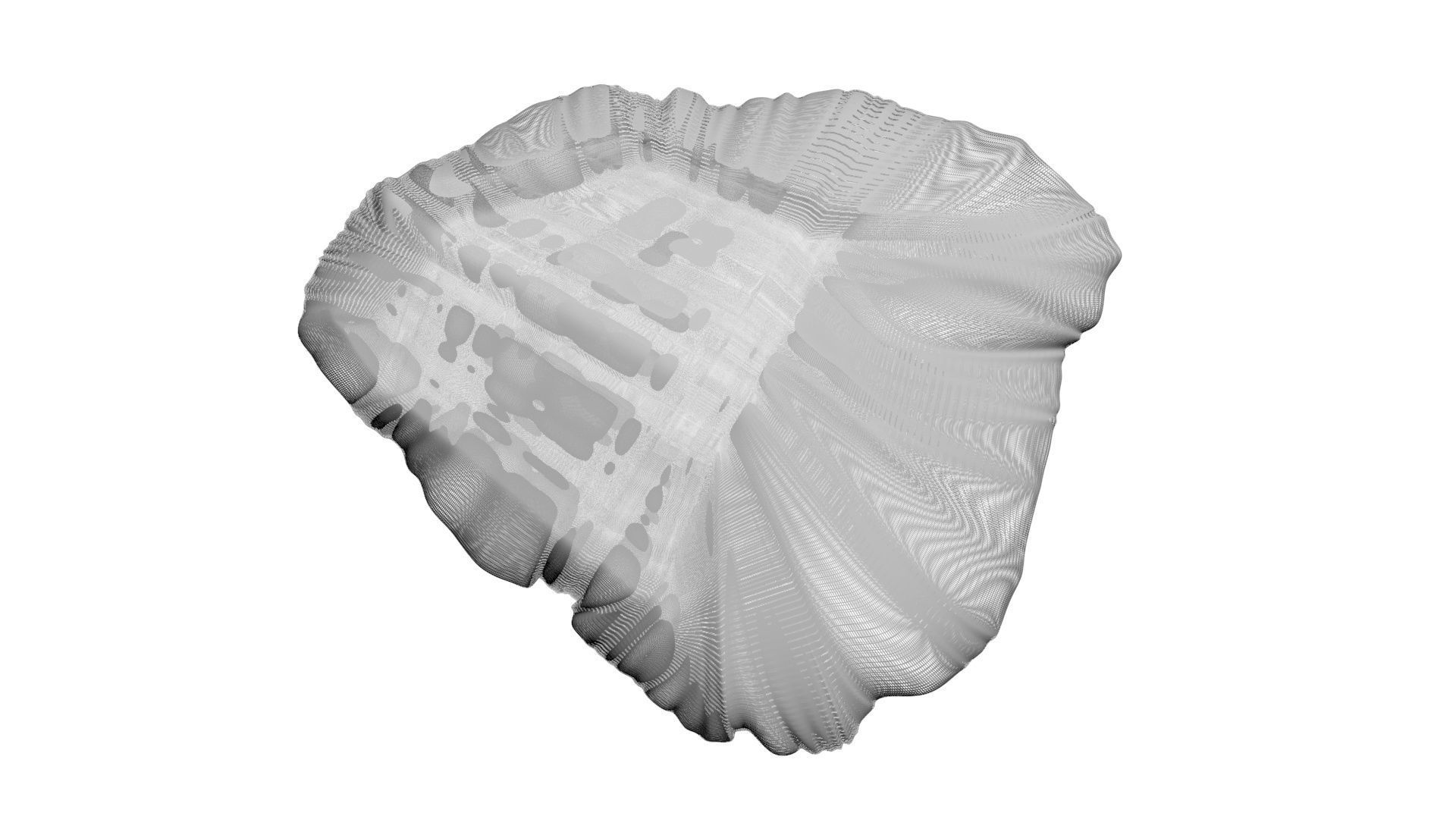 Beef Heart 3D model CGTrader