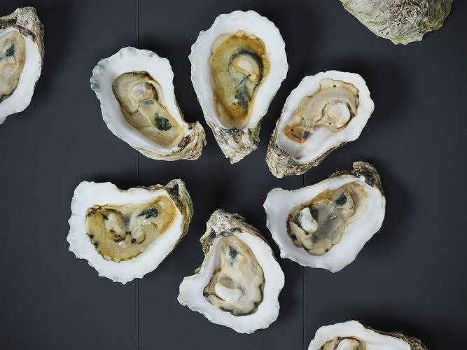 Half Shell Oysters 3D model CGTrader