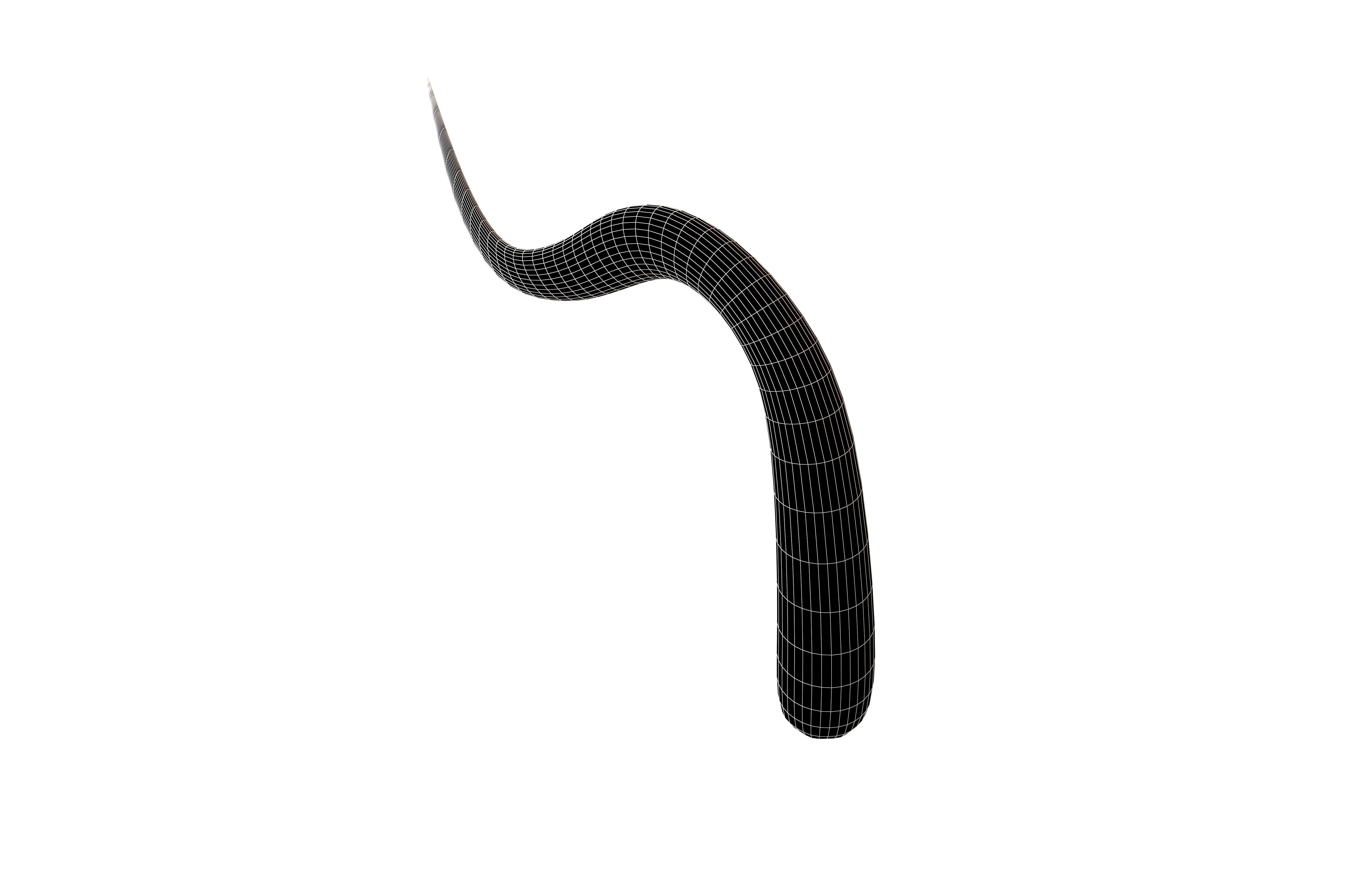 3d-model-cartoon-tentacle-v1-003-vr-ar-low-poly-cgtrader