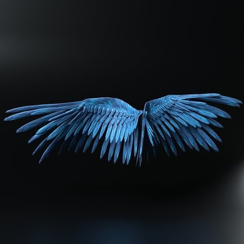 Feather Wings