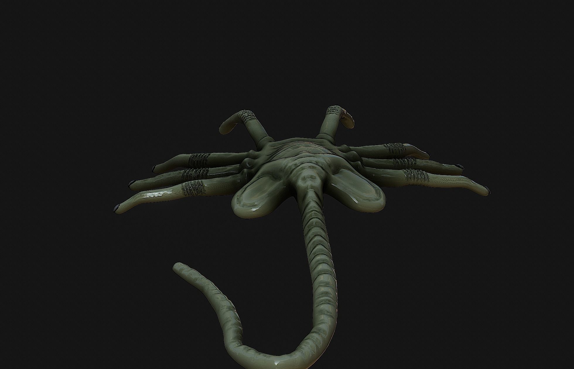 Alien facehugger 3D model rigged CGTrader