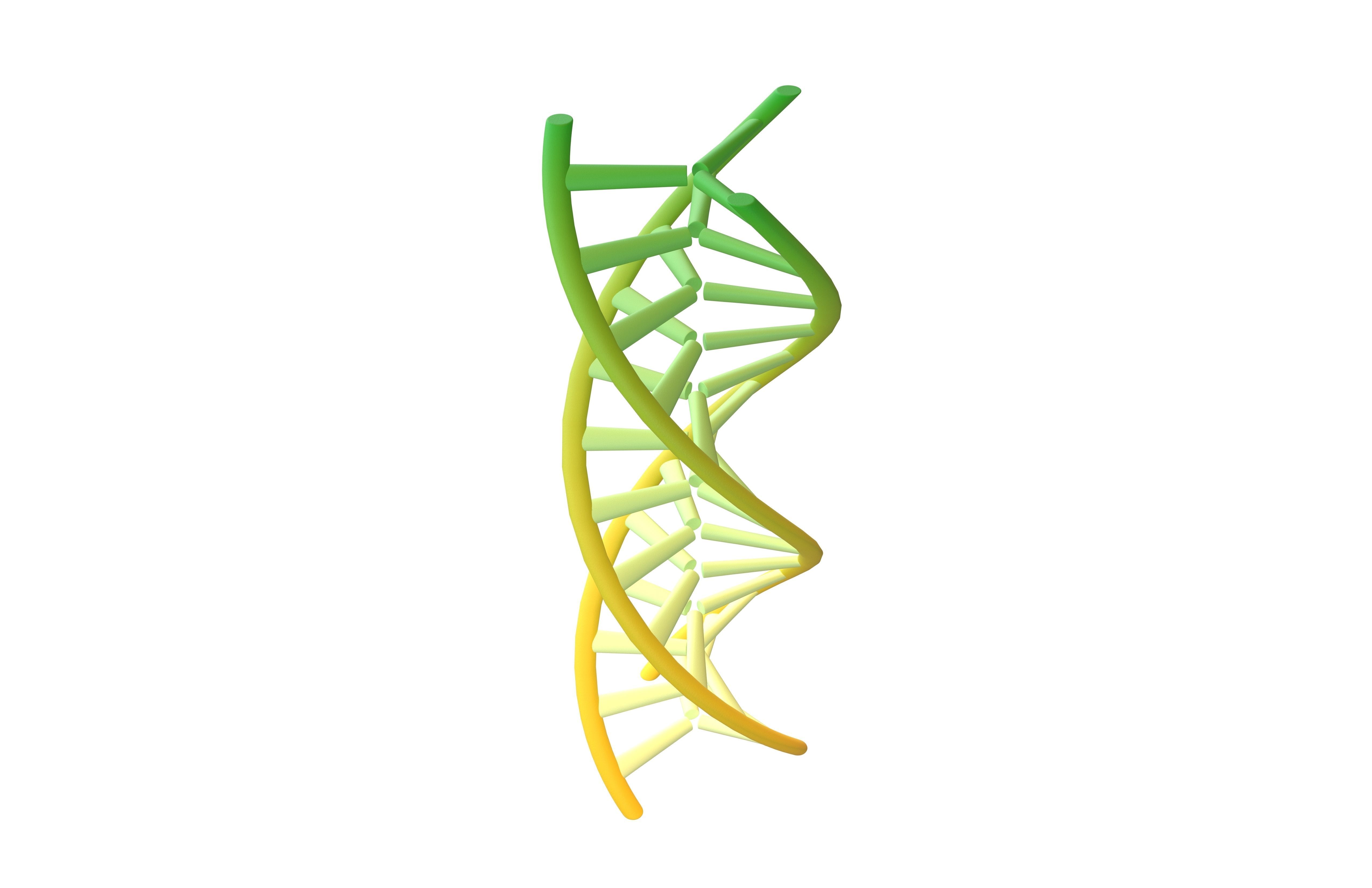 Triple Helix DNA v1 008 3D model CGTrader