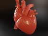 HUMAN HEART 3D model 3D printable | CGTrader